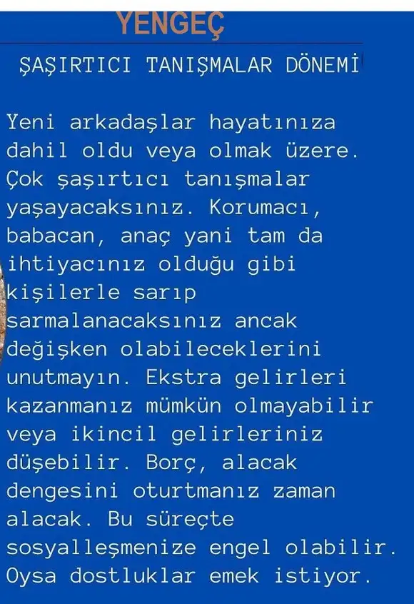 boğa2 (5).webp