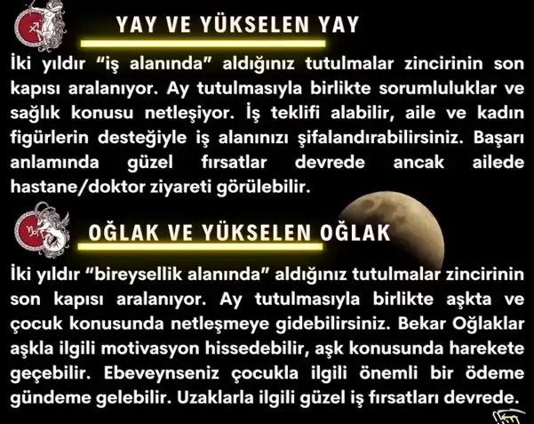 boğa2 (5).webp