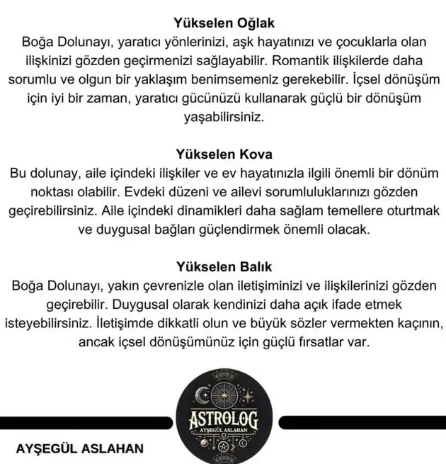boğa2 (5).webp