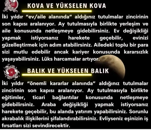 boğa2 (6).webp