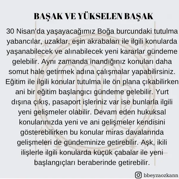 boğa2 (7).jpg