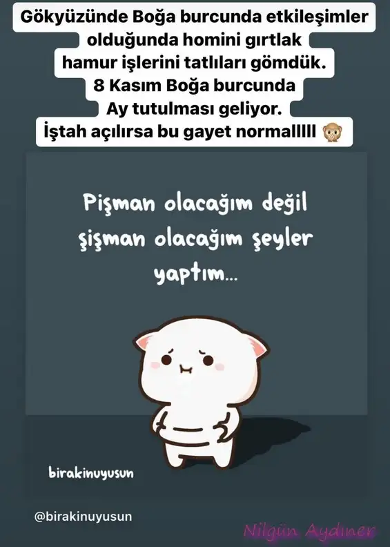 boğa2.webp