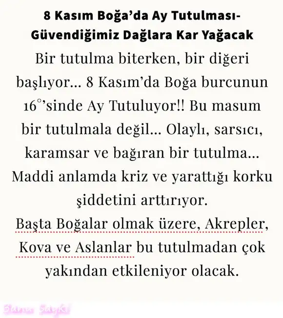 boğa2.webp