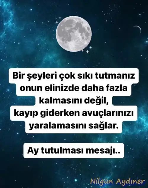 boğa2.webp