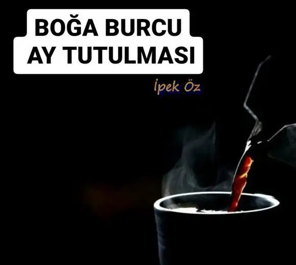 boğa20 (1).webp