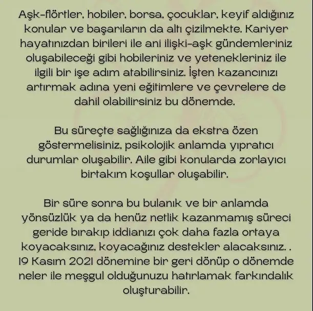 boğa20 (11).webp
