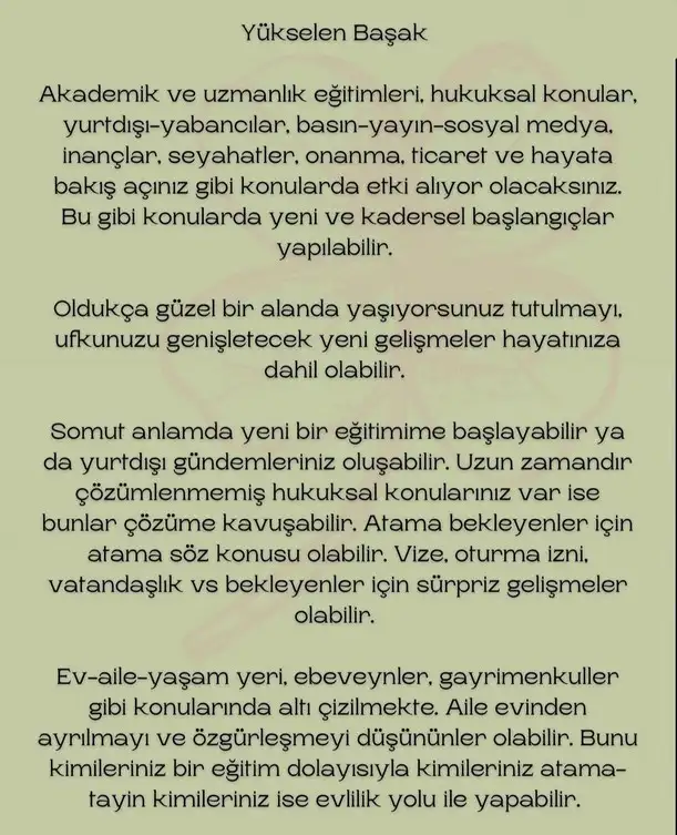 boğa20 (12).webp