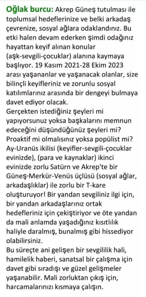 boğa20 (12).webp