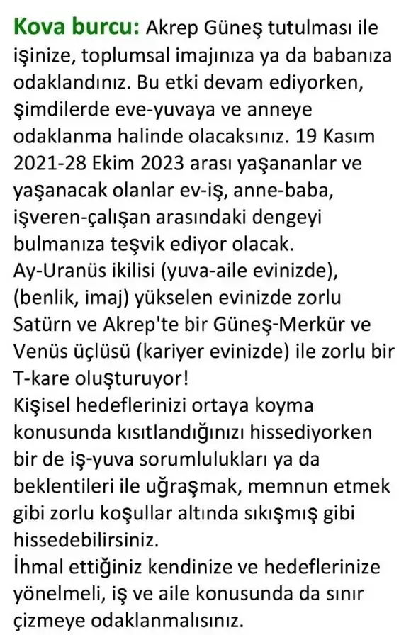 boğa20 (13).webp