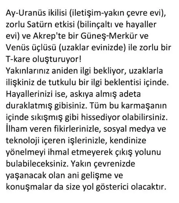 boğa20 (14).webp