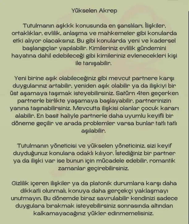boğa20 (16).webp