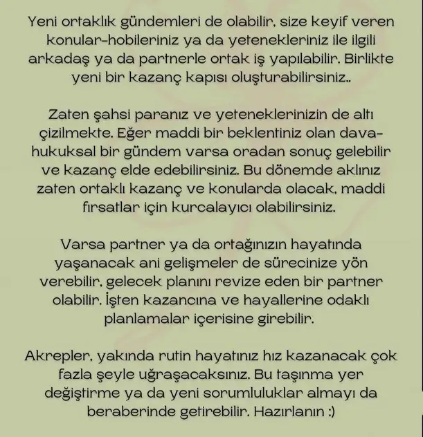 boğa20 (17).webp