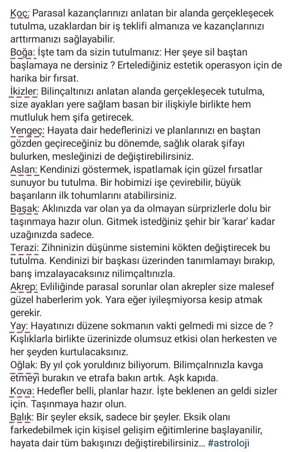 boğa20 (2).webp