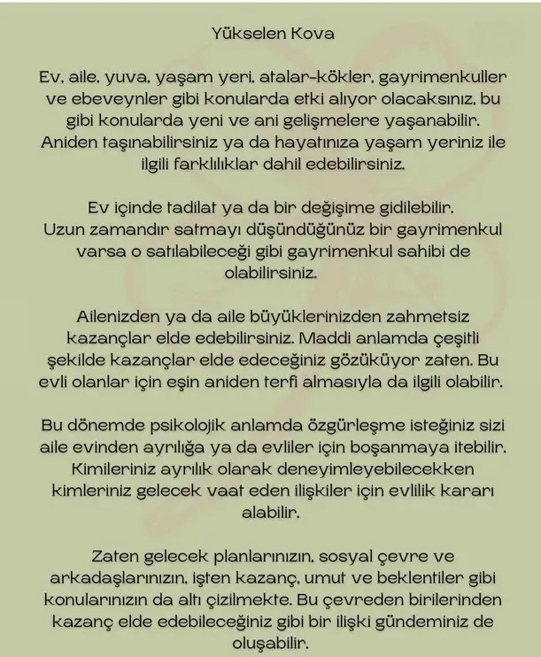 boğa20 (22).webp
