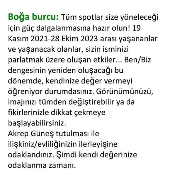 boğa20 (4) - Kopya.webp