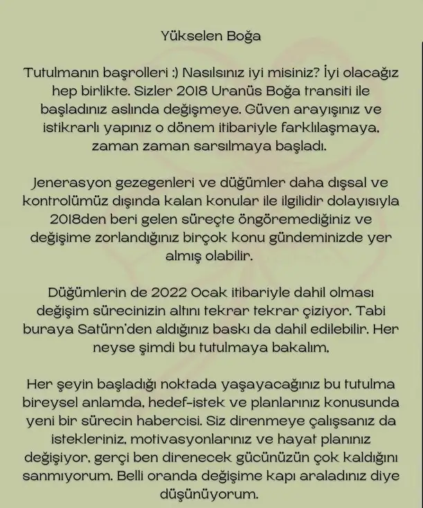 boğa20 (4).webp