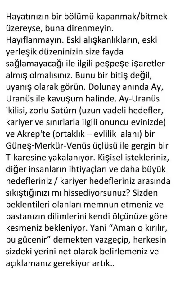 boğa20 (4).webp