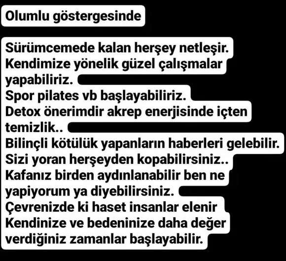 boğa20 (4).webp