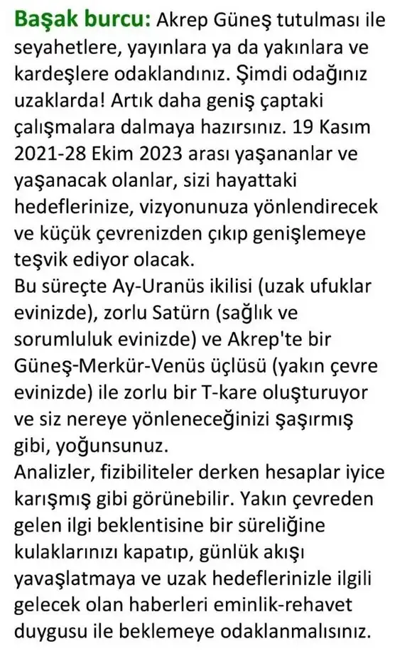 boğa20 (8).webp