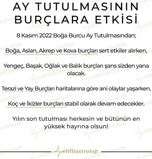 boğa20.webp