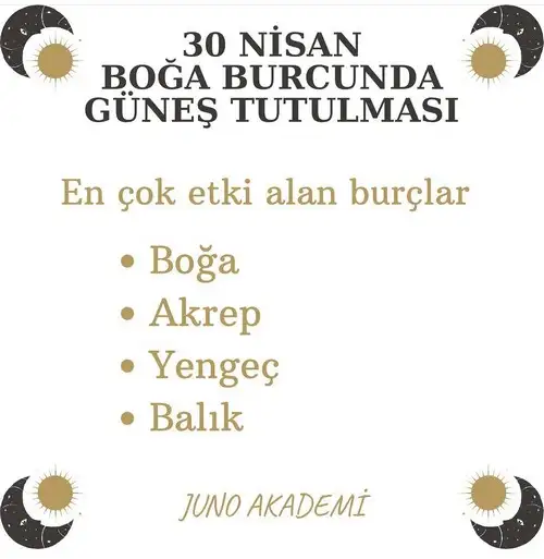 boğa21 (1).webp