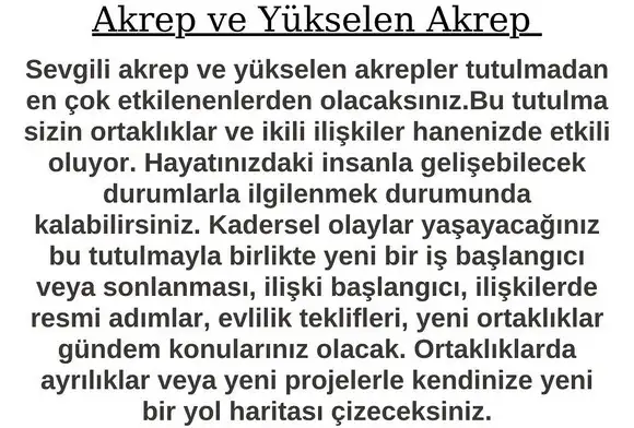boğa21 (10).webp