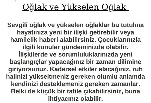 boğa21 (12).webp