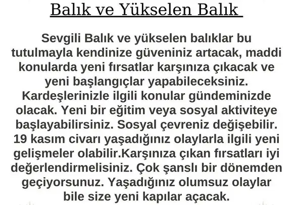 boğa21 (14).webp