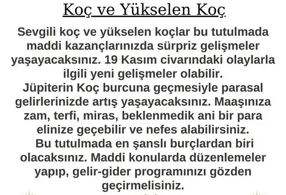 boğa21 (3).webp