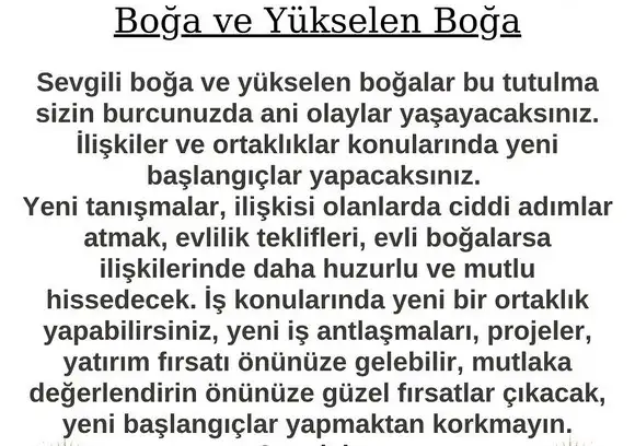 boğa21 (4).webp
