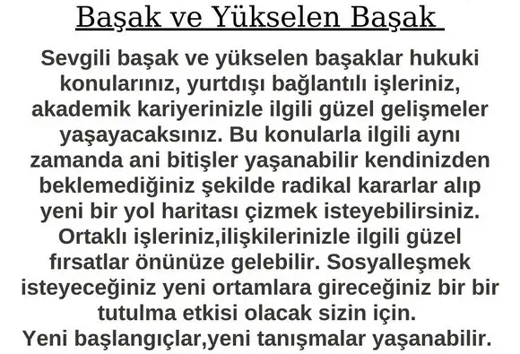 boğa21 (8).webp