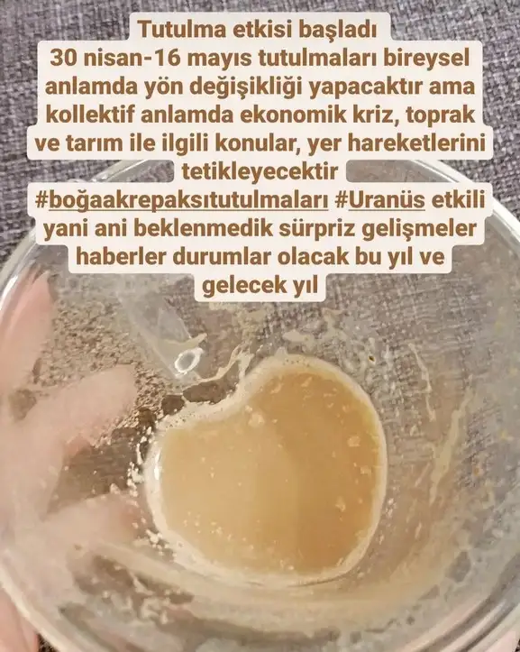 boğa22 (1).webp