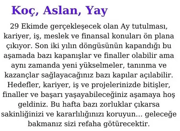 boğa22 (1).webp
