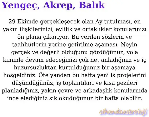 boğa22 (4).webp