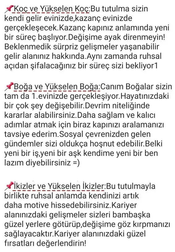 boğa23 (2).webp