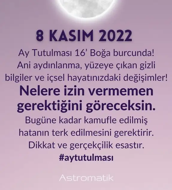 boğa23.webp