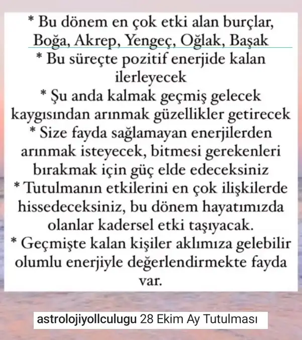 boğa23.webp