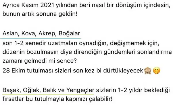 boğa24 (2).webp