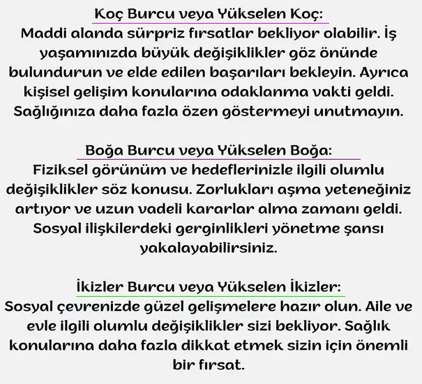 boğa24 (4).webp