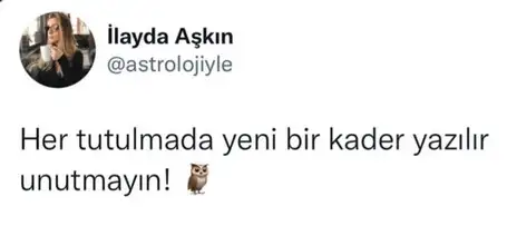 boğa24.webp