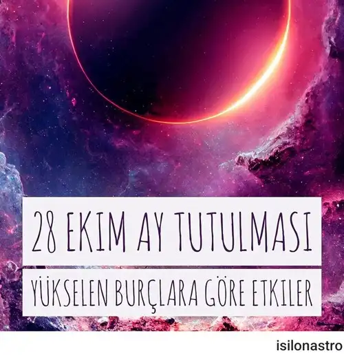 boğa25 (1).webp