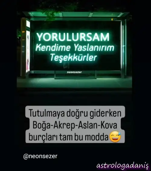 boğa25.webp