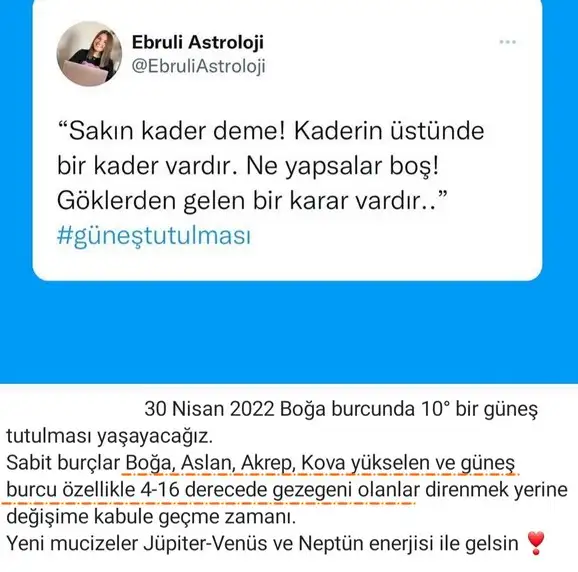 boğa26.webp