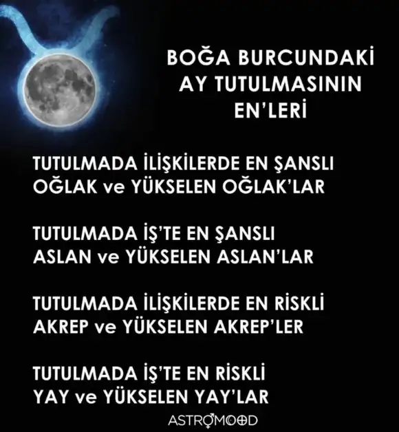 boğa26.webp