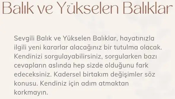 boğa27 (13).webp