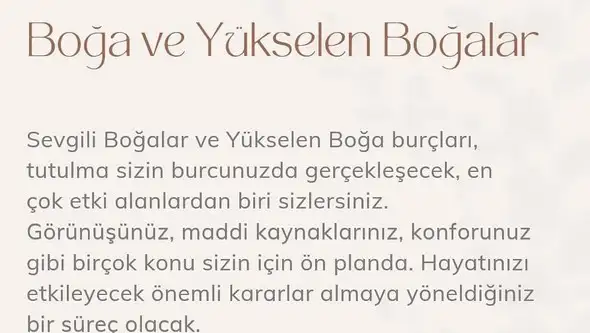 boğa27 (3).webp