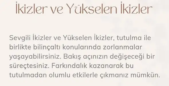 boğa27 (4).webp