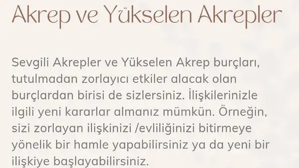 boğa27 (9).webp