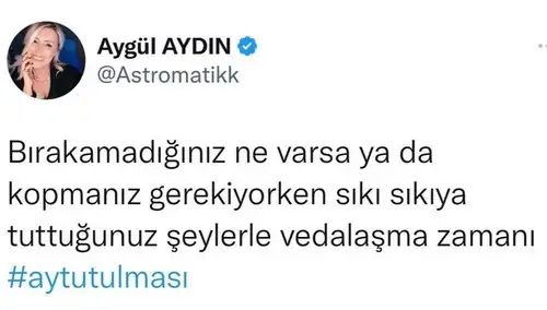 boğa28.webp