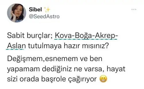 boğa29.webp